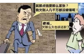 温县专业讨债公司有哪些核心服务？